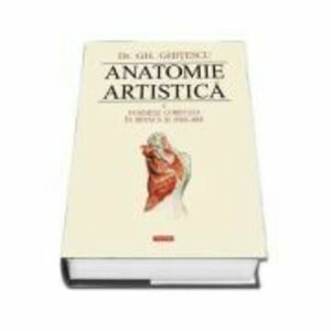 Anatomie artistica, volumul 2 Formele corpului in repaus si miscare - Gheorghe Ghitescu imagine
