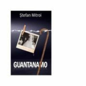 Guantanamo - Stefan Mitroi imagine