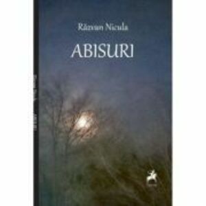 Abisuri - Razvan Nicula imagine