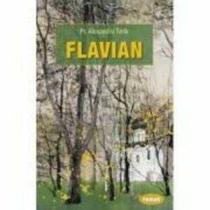 Flavian - Alexandru Torik imagine