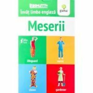 Meserii - Invat limba engleza imagine