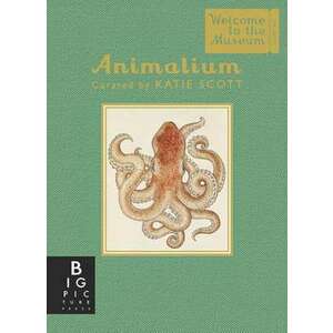 Animalium imagine
