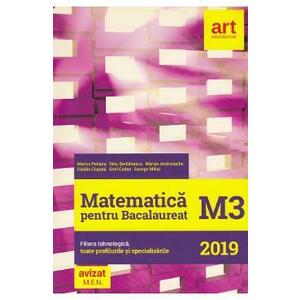 Matematica M3. Bacalaureat 2019. Filiera tehnologica - Marius Perianu, Dinu Serbanescu imagine