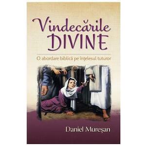 Vindecarile divine - Daniel Muresan imagine