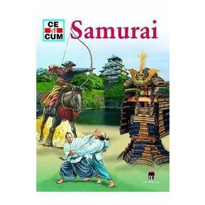 Ce si cum - Samurai imagine