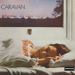 For Girls Who Grow Plump In The Night - Vinyl | Caravan imagine