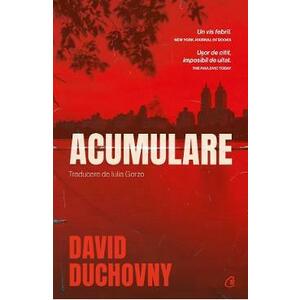 Acumulare - David Duchovny imagine