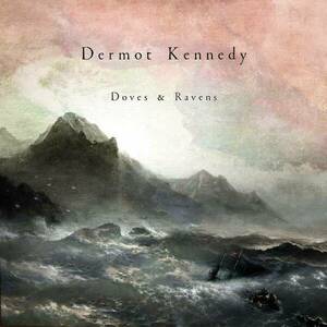 Doves & Ravens (Clear Vinyl) | Dermot Kennedy imagine