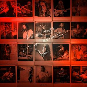No One Sings Like You Anymore - Vinyl | Chris Cornell imagine