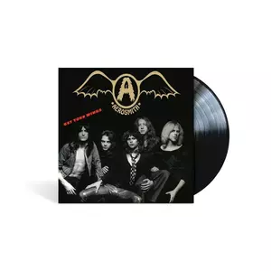 Get your wings - 1974 - Vinyl | Aerosmith imagine