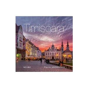 Timisoara - Florin Andreescu imagine