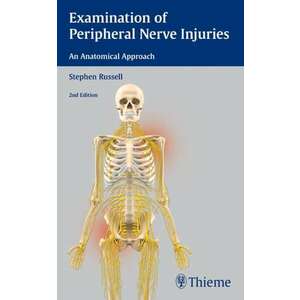 Examination of Peripheral Nerve Injuries: An Anatomical Approach imagine