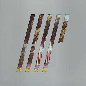 4 1/2 - Vinyl | Steven Wilson imagine