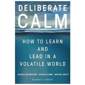 Deliberate Calm - Jacqueline Brassey, Aaron De Smet, Michiel Kruyt imagine