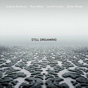 Still Dreaming - Vinyl | Joshua Redman imagine