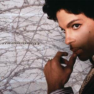 Musicology - Vinyl | Prince imagine