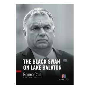 The Black Swan on Lake Balaton - Romeo Couti imagine