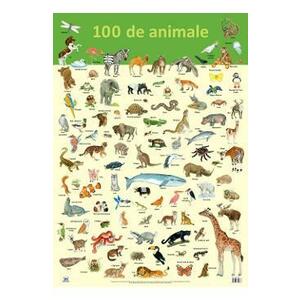 Plansa: 100 de animale imagine