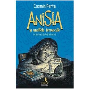 Anisia si uneltele fermecate - Cosmin Perta imagine