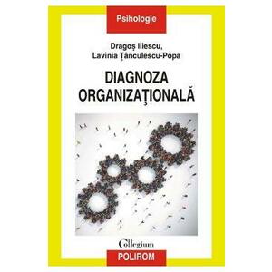 Diagnoza organizationala - Dragos Iliescu, Lavinia Tanculescu-Popa imagine