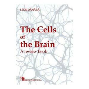 The cells of the brain - Leon Danaila imagine