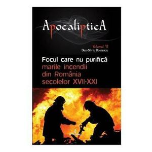 Apocaliptica Vol.6: Focul care nu purifica - Dan-Silviu Boerescu imagine