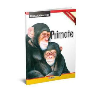 Enciclopedie: Primate imagine