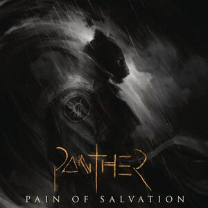 Panther | Pain Of Salvation imagine