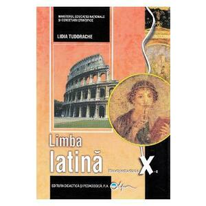 Limba latina - Clasa 10 - Manual - Lidia Tudorache imagine