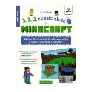 1, 2, 3, construiesc in Minecraft - David Plumel imagine