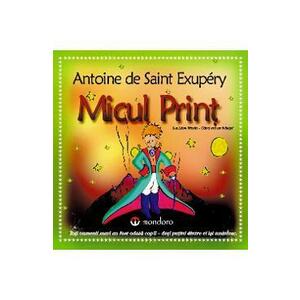 Micul Print - Antoine de Saint-Exupery imagine