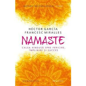 Namaste. Calea hindusa spre fericire, implinire si succes - Hector Garcia, Francesc Miralles imagine