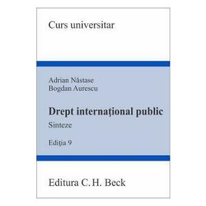 Drept international public. Sinteze Ed.9 - Adrian Nastase, Bogdan Aurescu imagine