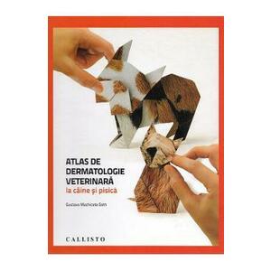 Atlas de dermatologie veterinara la caine si pisica - Gustavo Machicote Goth imagine