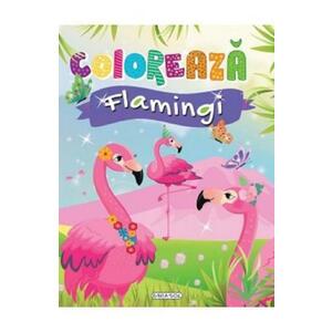 Coloreaza - Flamingi imagine