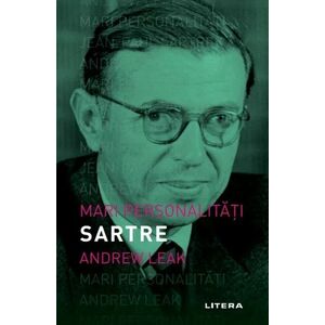 Sartre imagine