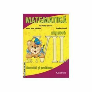 Matematica algebra exercitii si probleme clasa a VII-a imagine