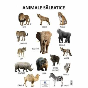 Plansa - Animale salbatice imagine