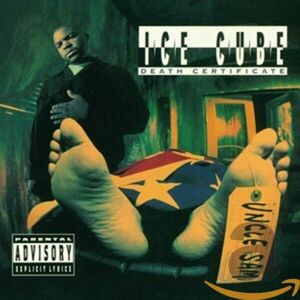 Death Certificate | Ice Cube imagine