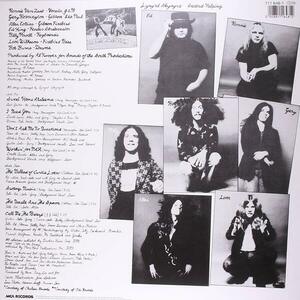 Second Helping - Vinyl | Lynyrd Skynyrd imagine