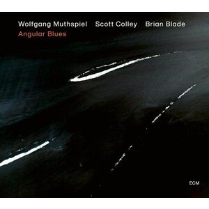 Angular Blues - Vinyl | Wolfgang Muthspiel imagine