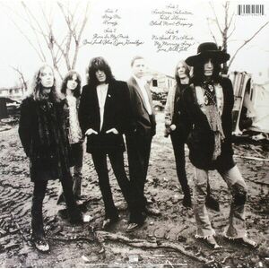 The Southern Harmony And Musical Companion - Vinyl | Black Crowes imagine