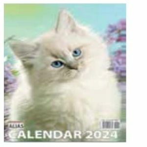 Calendar de perete - Pisici (12+1 file) 2024 imagine