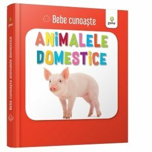Bebe cunoaste: Animalele domestice imagine