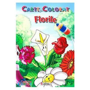 Florile - Carte de colorat imagine