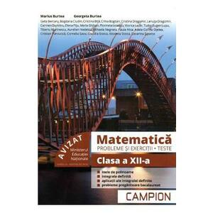 Matematica - Probleme si exercitii, teste pentru clasa a XII-a imagine