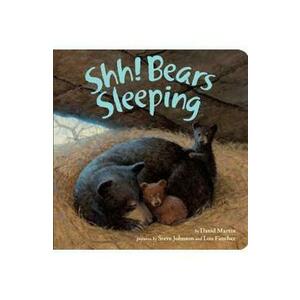 Shh! Bears Sleeping - David Martin imagine