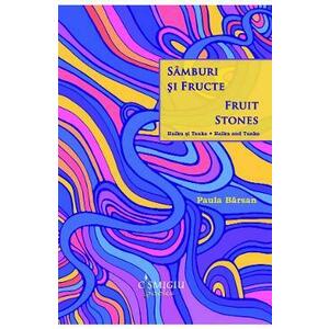 Samburi si fructe. Fruit stones - Paula Barsan imagine