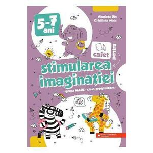 Caiet pentru stimularea imaginatiei 5-7 ani - Nicoleta Din, Cristina Mate imagine
