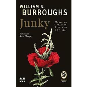 Junky - William S. Burroughs imagine